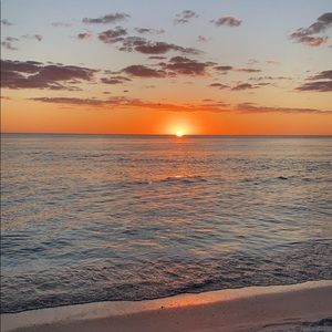 Meet your Posher, Ella